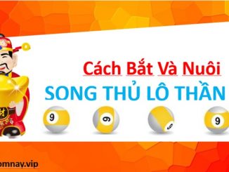 Cách bắt và nuôi 3 ngày con song thủ lô Miền Bắc